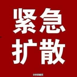 河南大爆料最新消息今天,今日热点事件深度解析