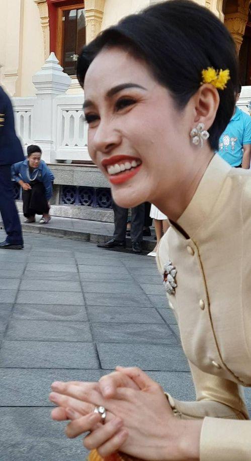 安德鲁最新爆料诗尼娜,安德鲁最新爆料揭露惊人内幕