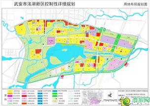 武安最新爆料,揭秘背后惊人真相