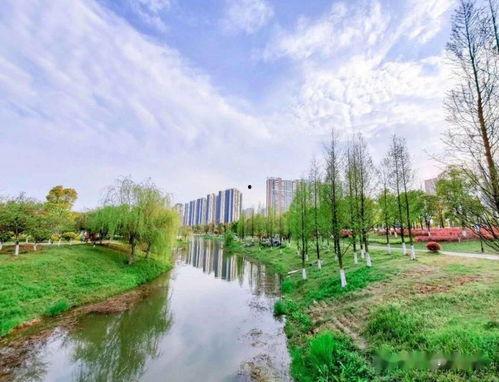 邳州金枫湖爆料最新消息,揭秘湖畔神秘事件！